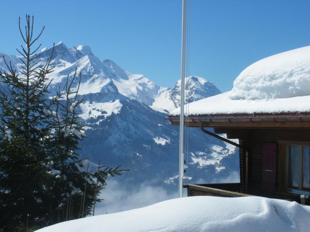 Chalet Blatti Hasliberg Exterior foto